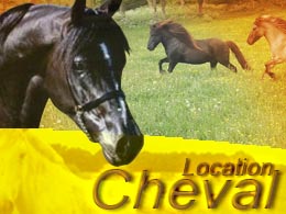 cheval à louer