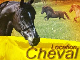 cheval à louer